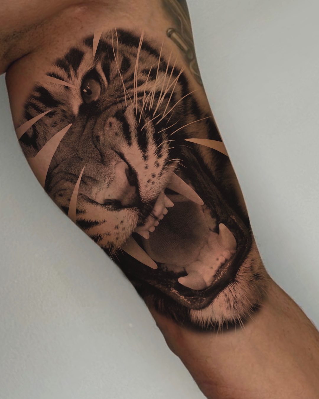 Design