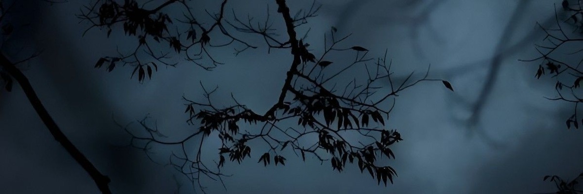 Tattoo Header