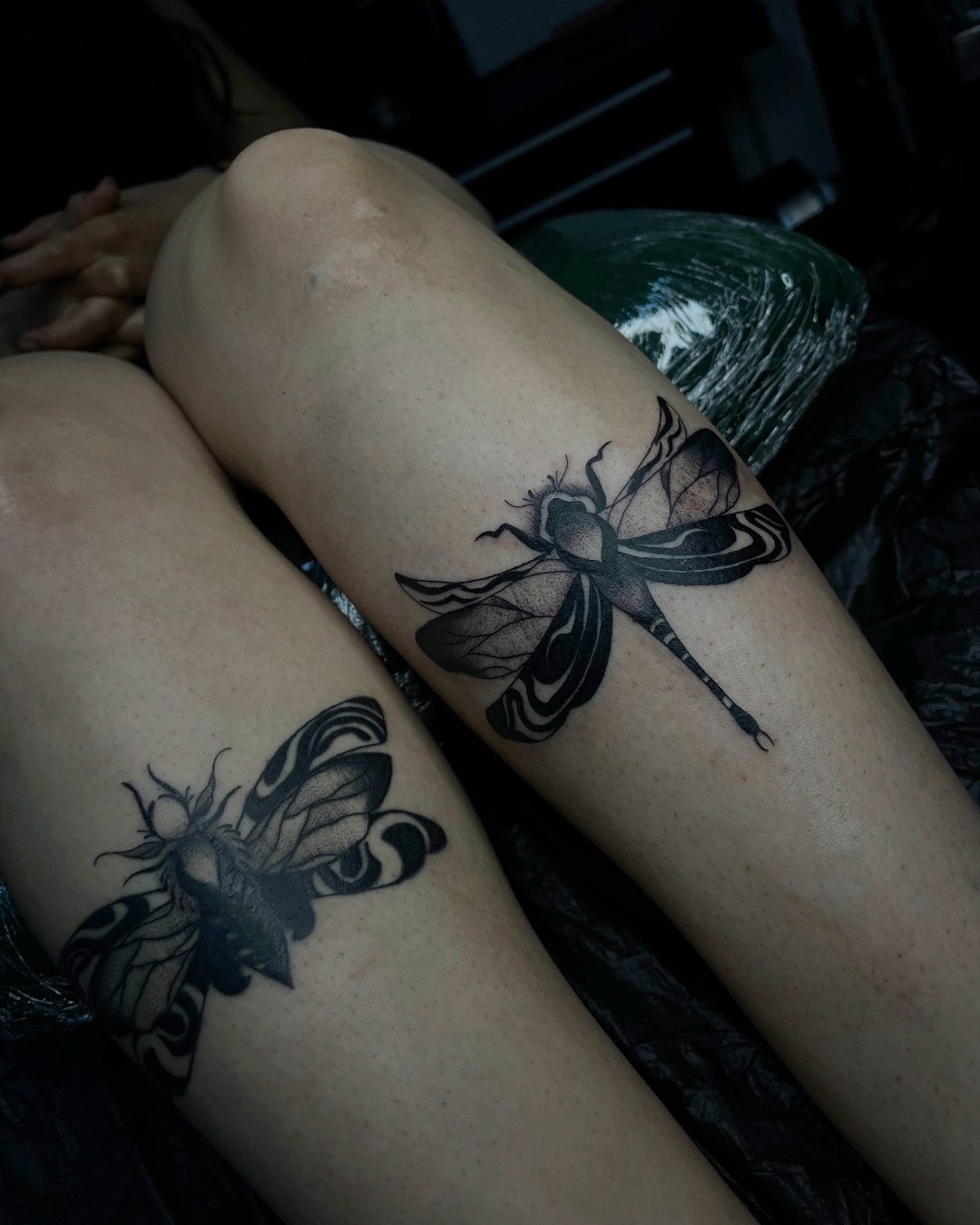 Matching Dragonfly & Moth  Tattoos