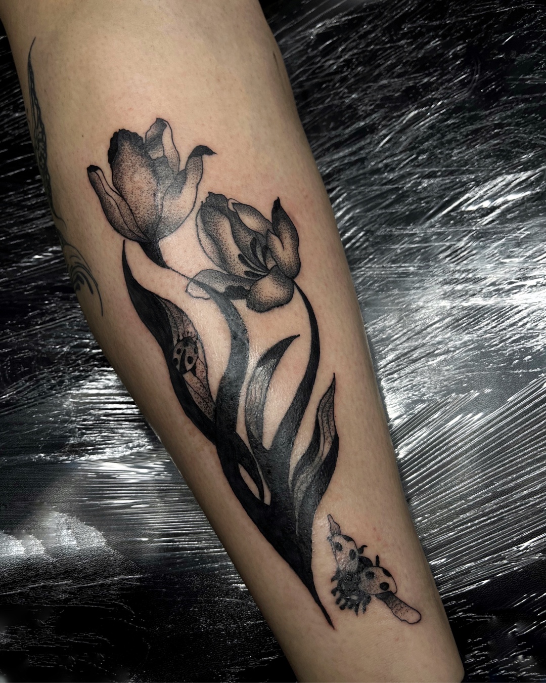 Tulips & Ladybugs
