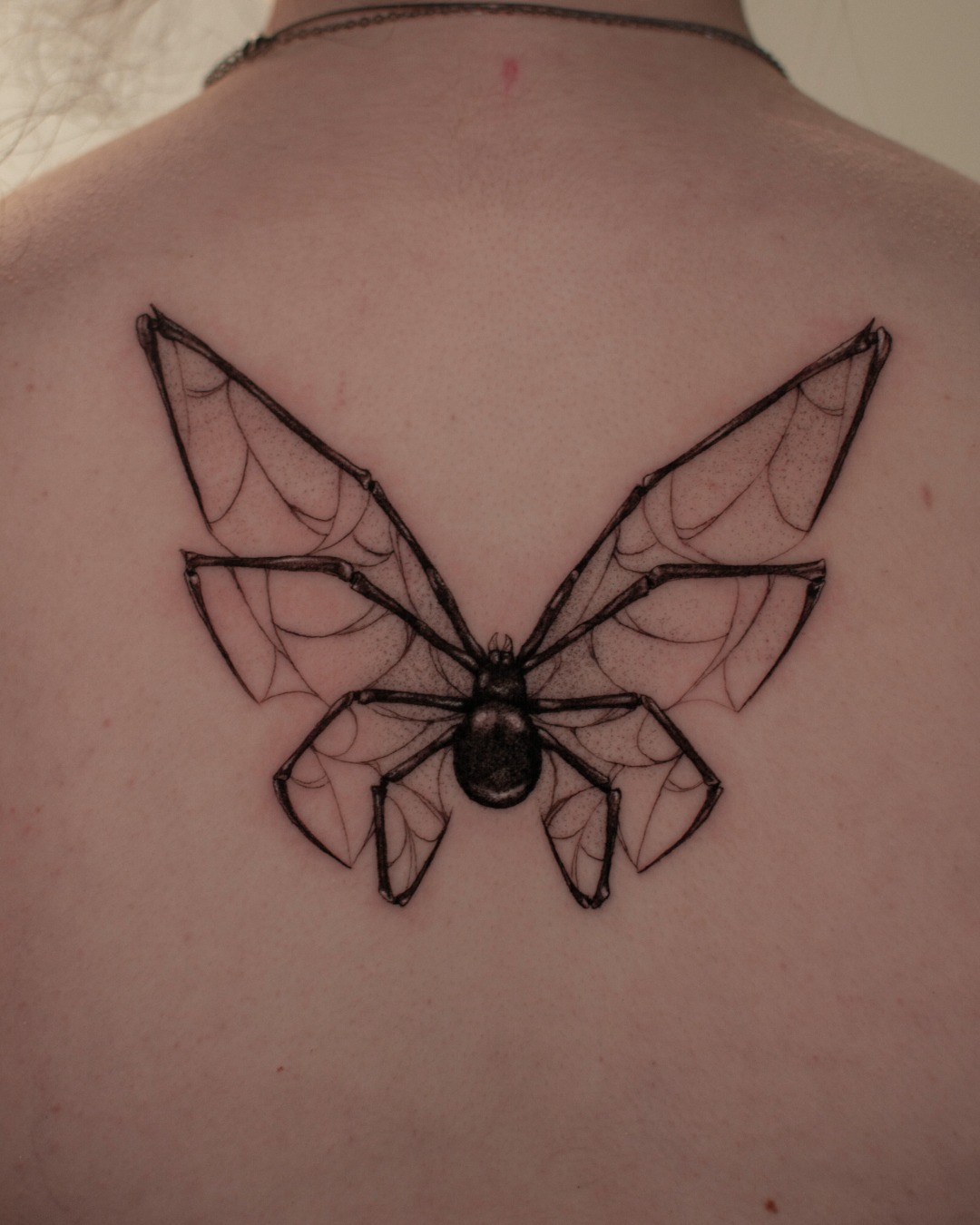 Spider-Winged Moth