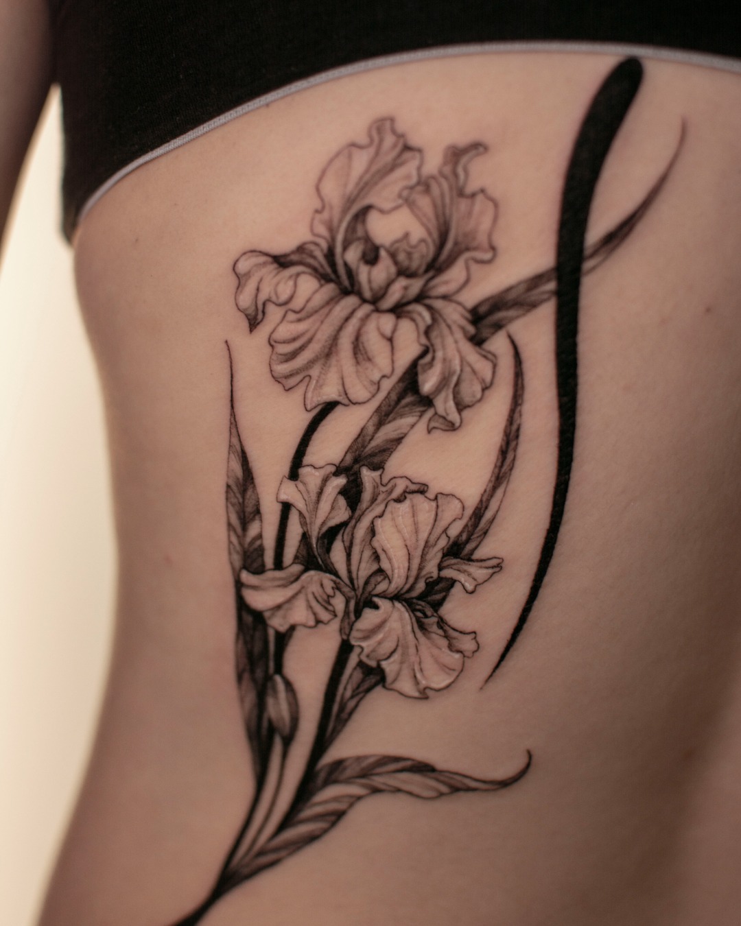 Iris Blossoms in Bloom