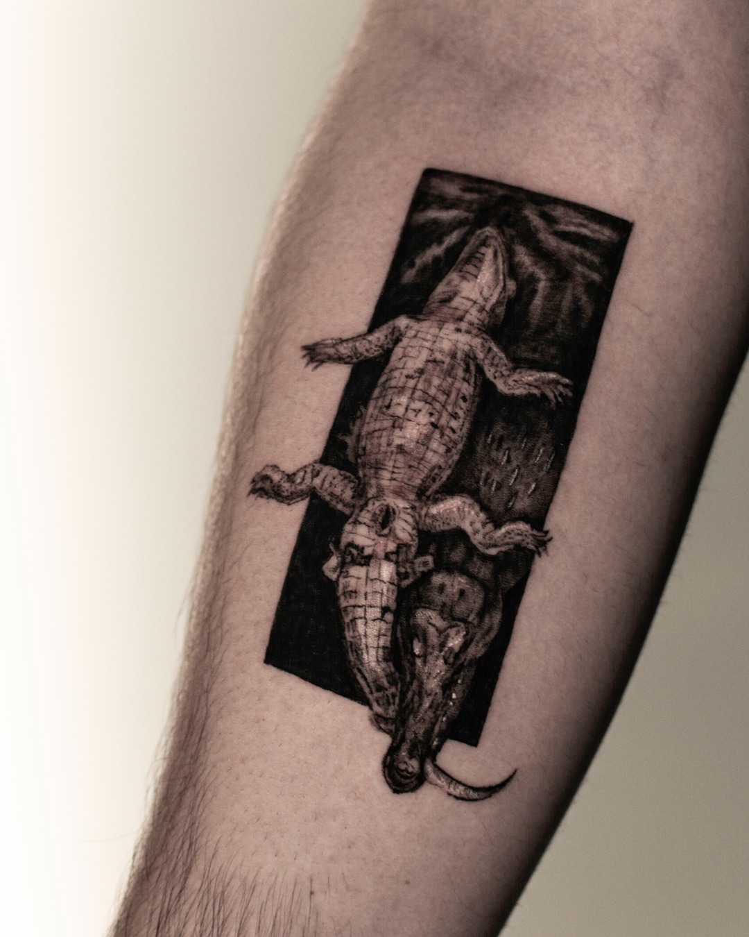 Engraved Crocodile Descent