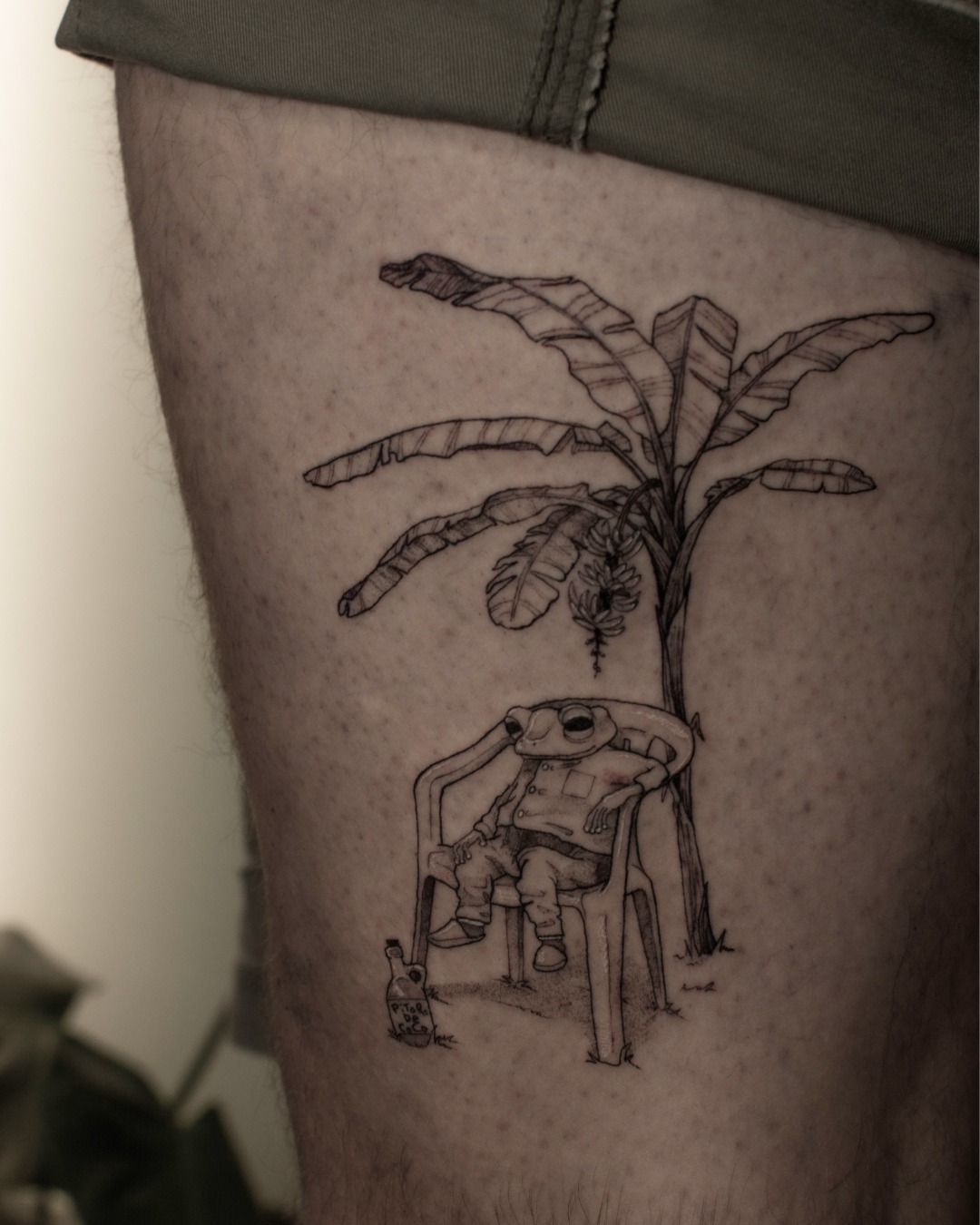 Frog's Siesta Under the Banana Tree