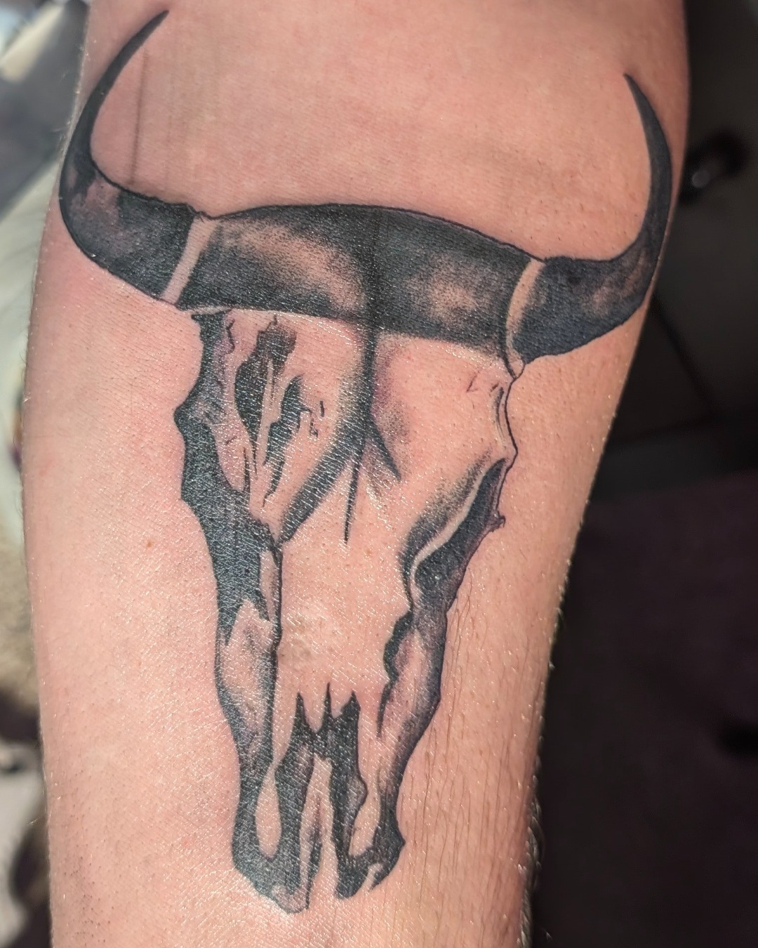 Bison Skull Sentinel