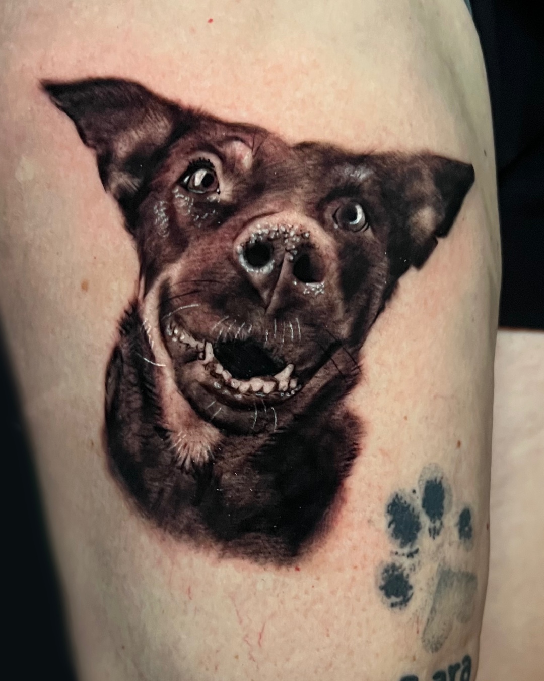 Loyal Companion Portrait