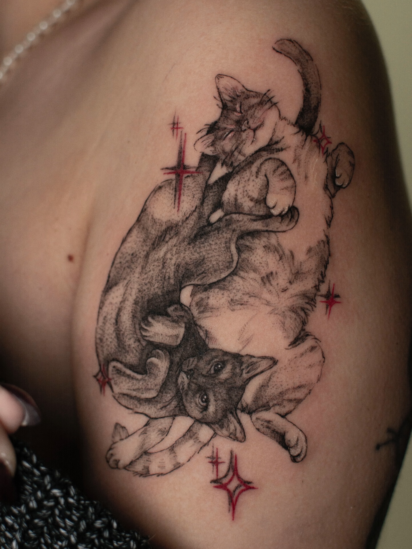 Two Cats Entwined
