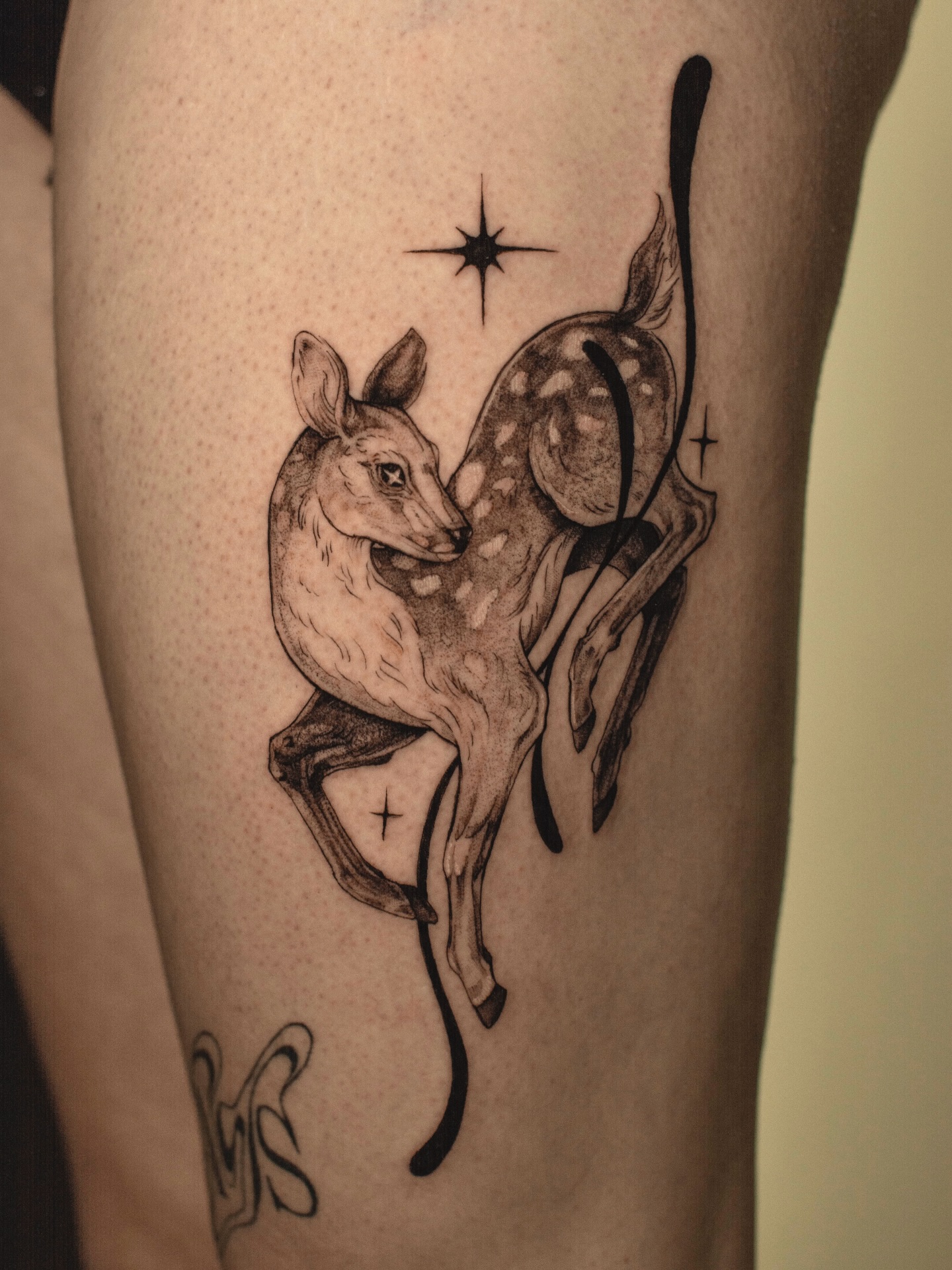 Celestial Fawn