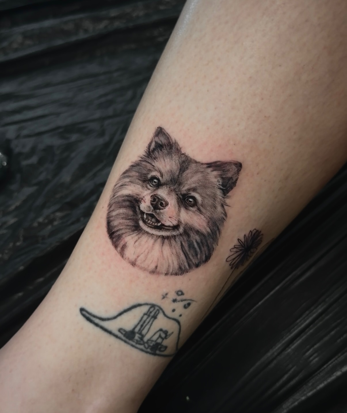 Fluffy Pom Portrait