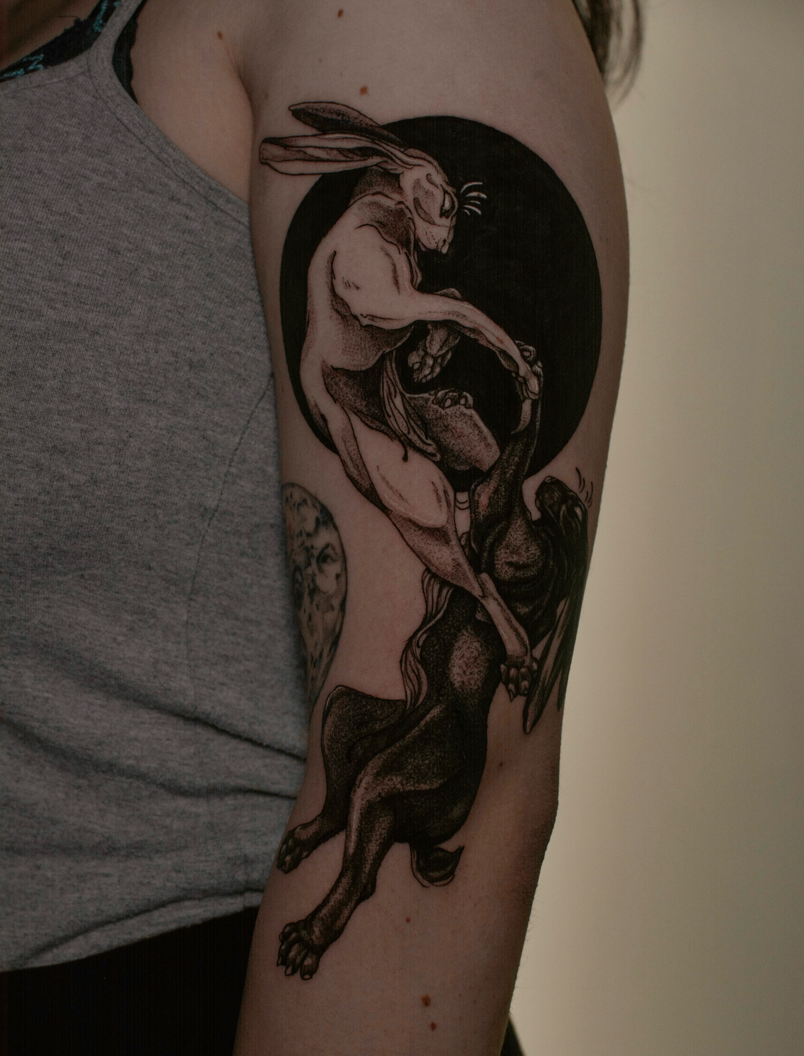 Duality of Hares: Light and Dark Moon