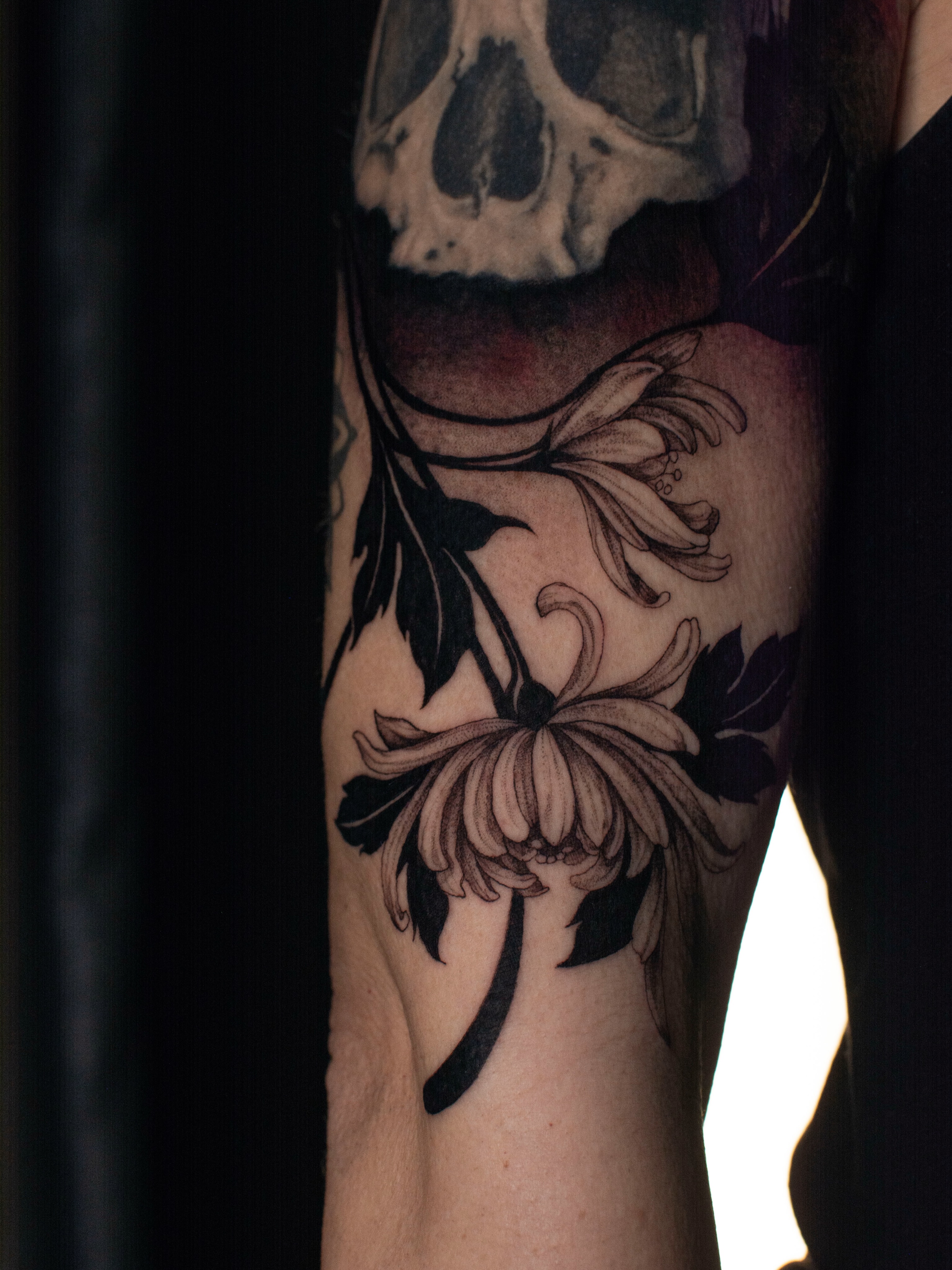 Skull & Chrysanthemum Bloom