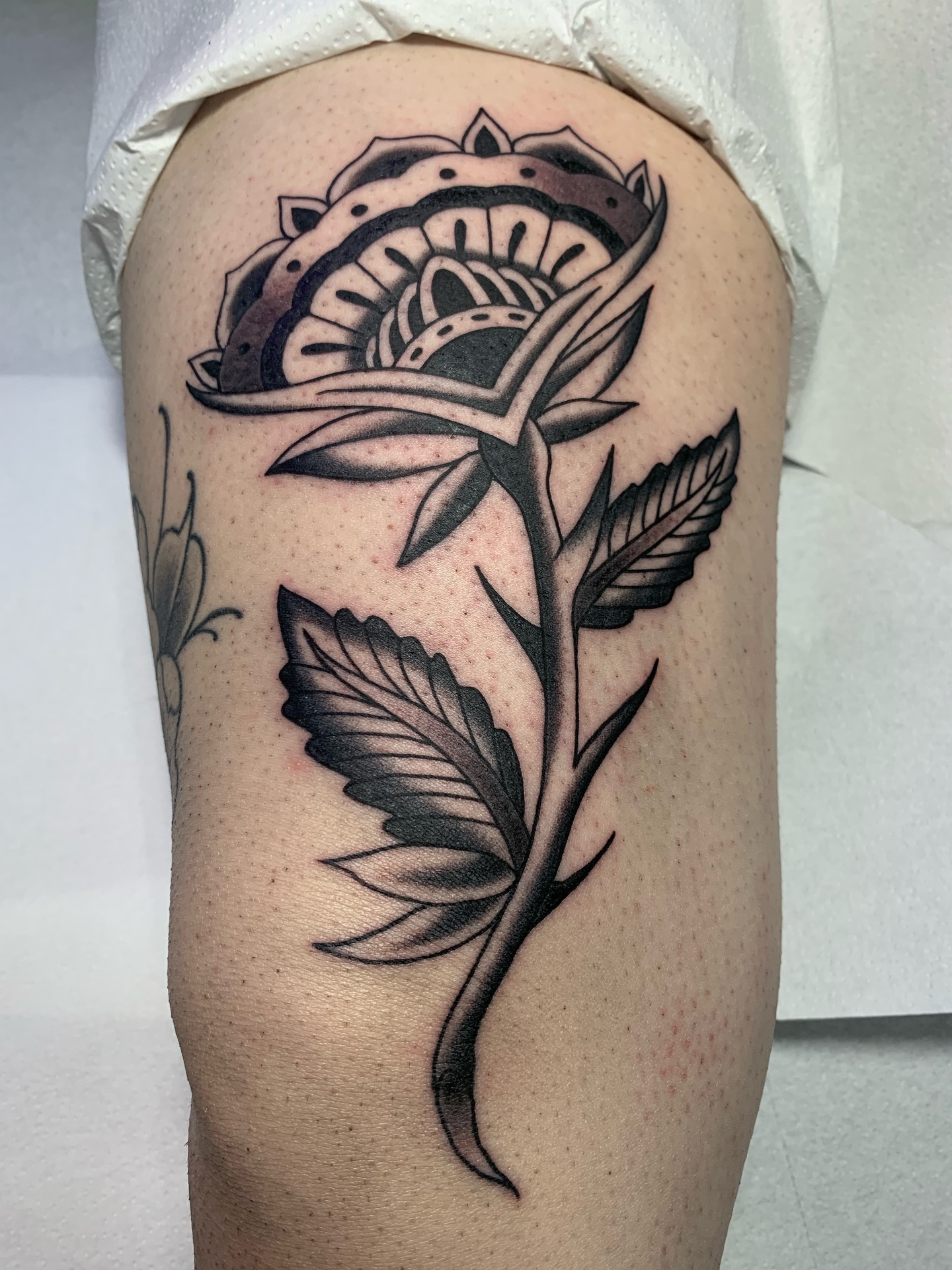 Mandala Rose Bloom