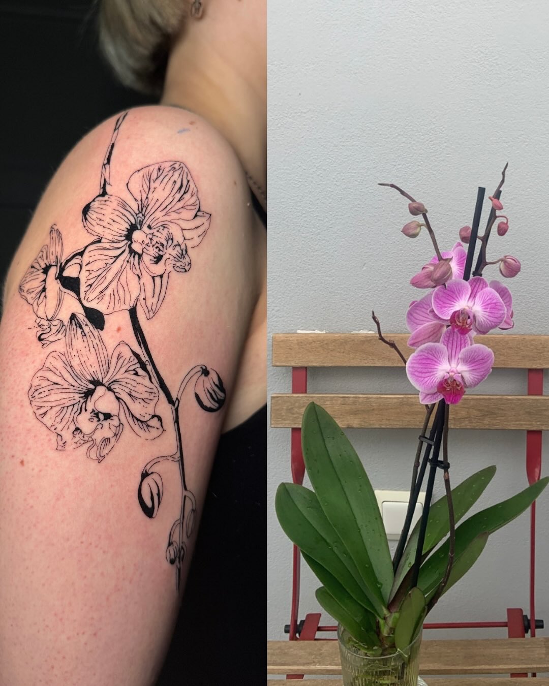 Orchid Bloom Sleeve