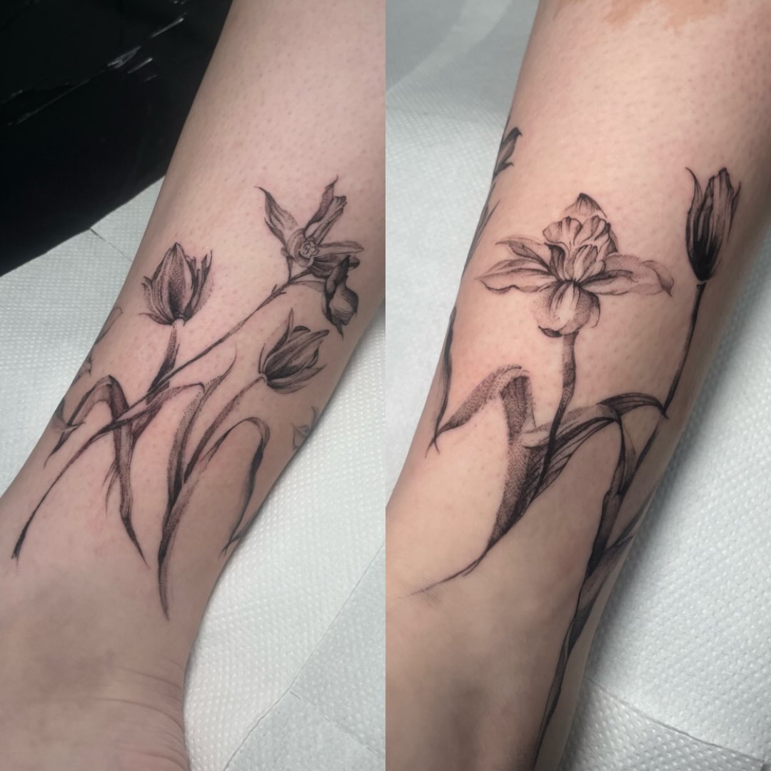 Sketchy Tulip Bloom